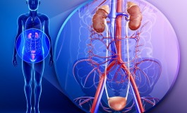 Proteinuria Found to Have Predictive Value for Good Long-Term Renal Outcome ... - Lupus News Today
