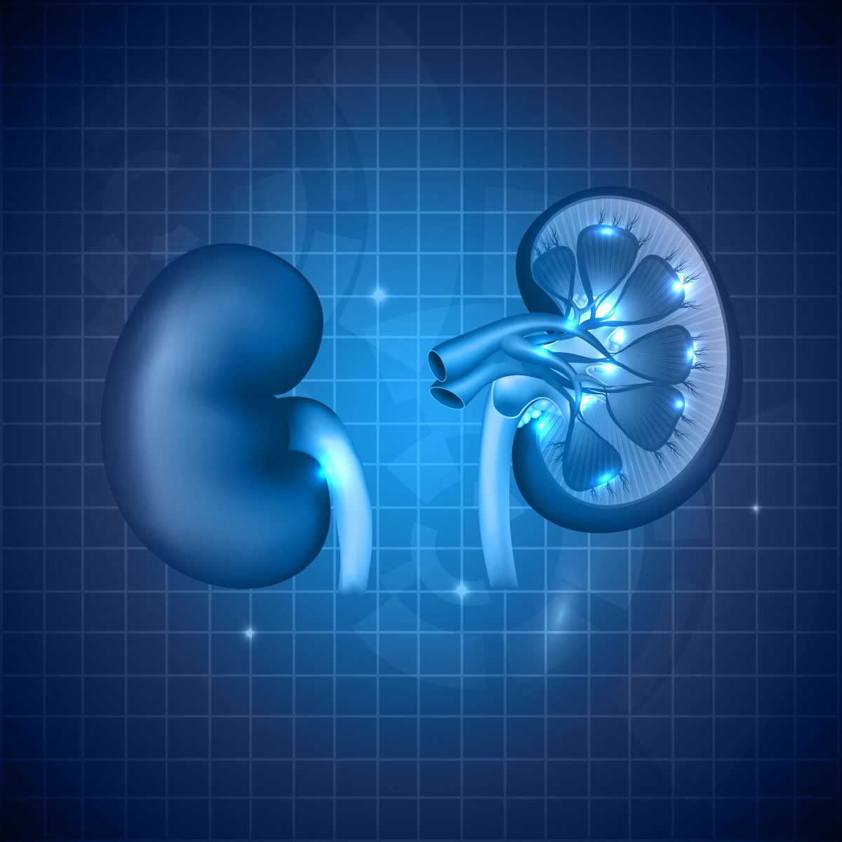 Researchers Review Clinical Trial Design for Lupus Nephritis Therapies