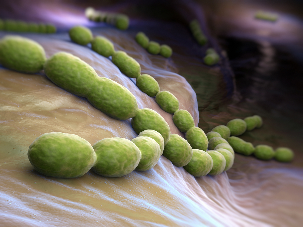 Microbial Biofilms Connected To Autoimmune Diseases