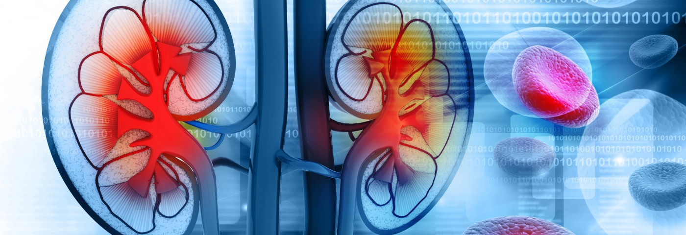 Urine of Lupus Patients with Renal Failure May Carry Disease Biomarker