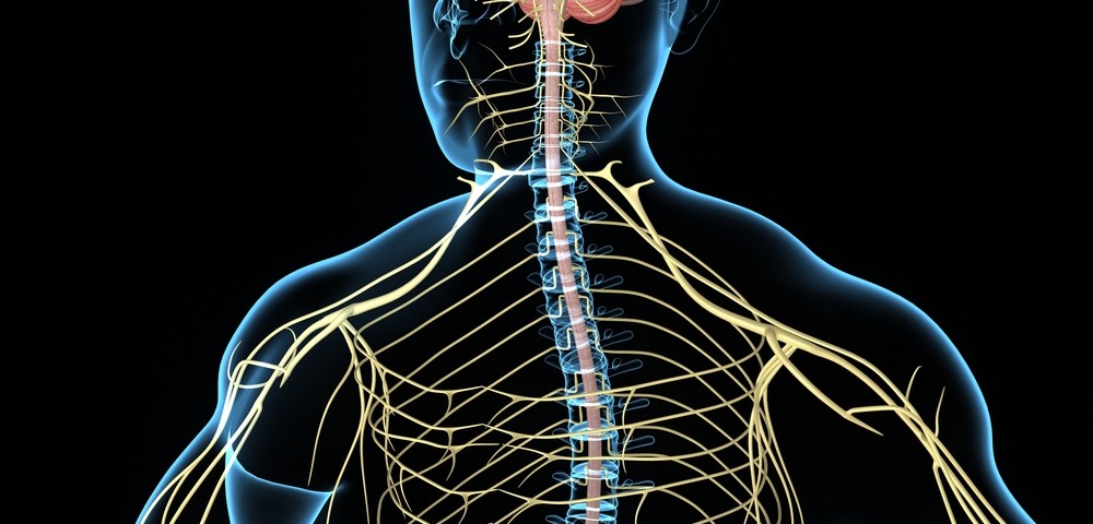 Lupus Review Cites Prevalence of Central Nervous System Involvement