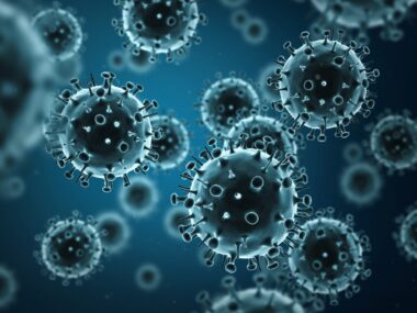 Epstein-Barr virus