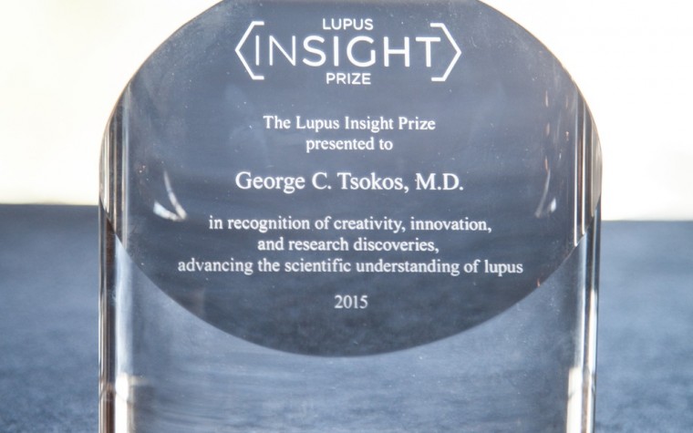 Lupus Insight Prize in Research