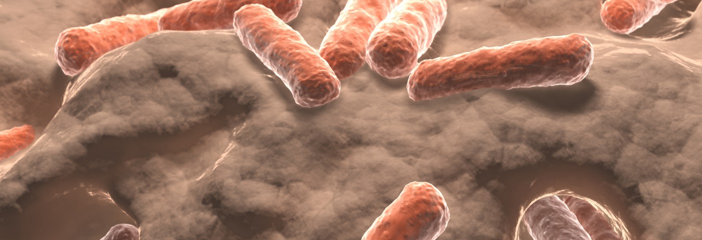 Gut Bacteria Protects Against Inflammation Linked to Lupus and Other Diseases, Study Finds