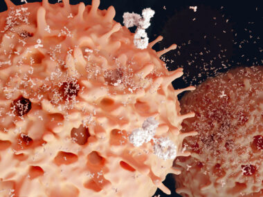 If too much of the miRNA miR-19 is present during B-cell development, autoimmune cells escape past quality checkpoints.