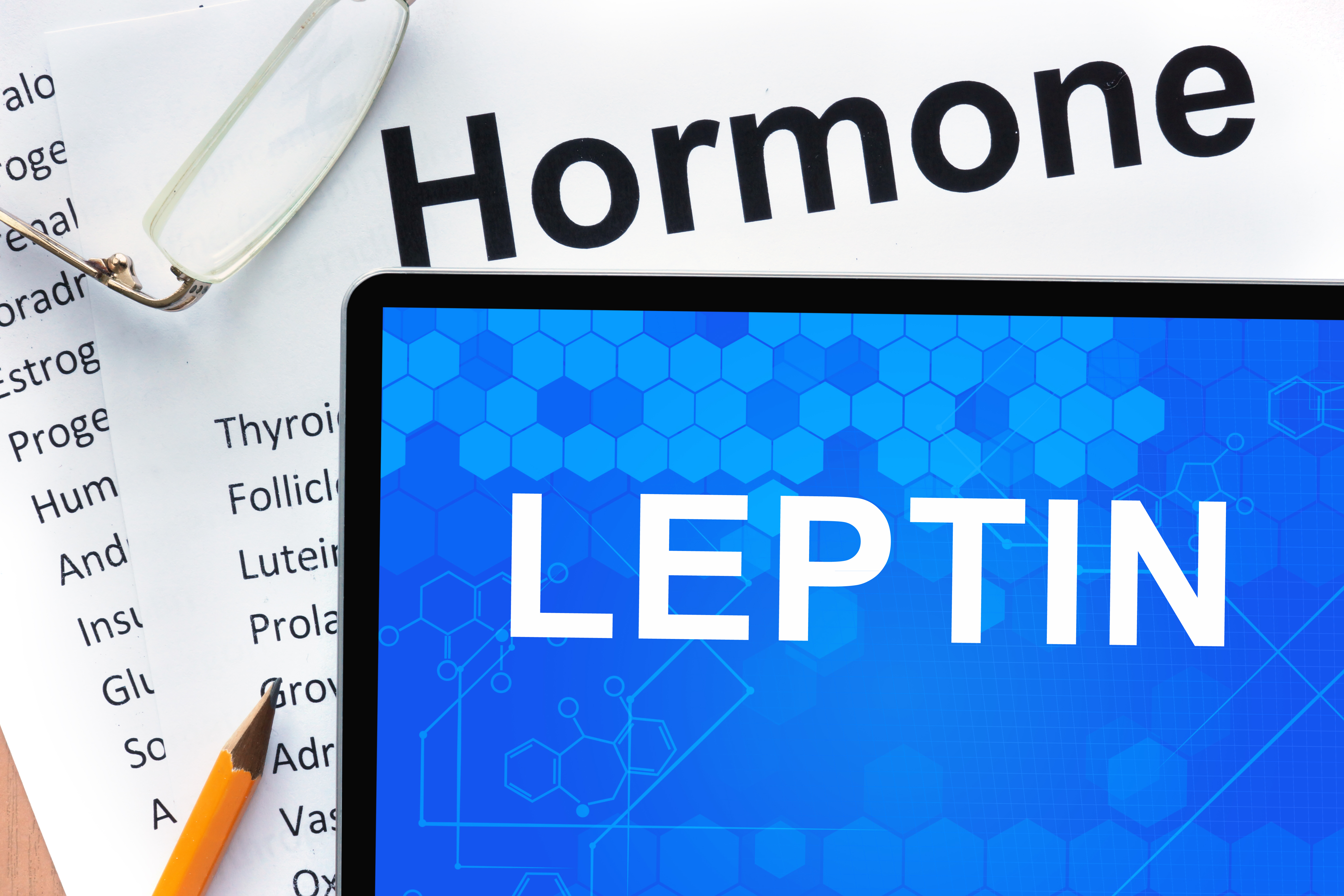 Leptin and lupus