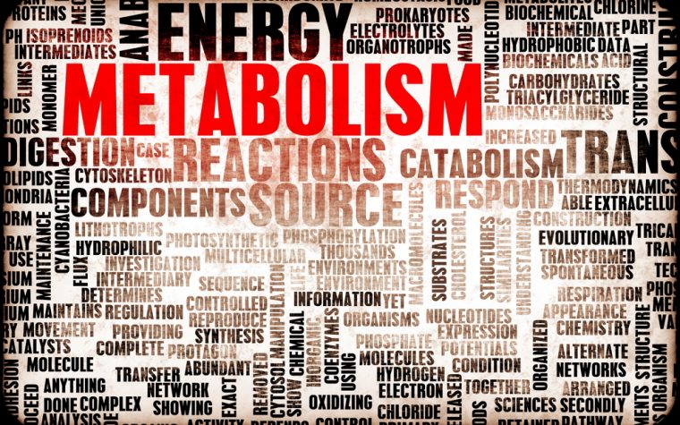 Metabolic profiles as biomakers