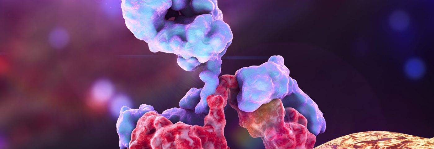 Selexis to Equip ImmuNext with Cells Needed for Antibody That May Treat Lupus