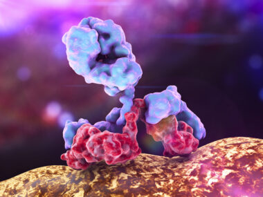 Selexis will provide ImmuNext with cells for their development of an anti-CD40L antibody intended for lupus treatment.