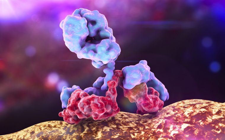 Selexis will provide ImmuNext with cells for their development of an anti-CD40L antibody intended for lupus treatment.
