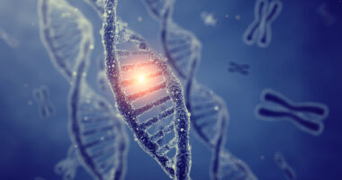 black lupus risk