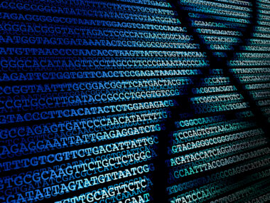 Lupus risk discovery