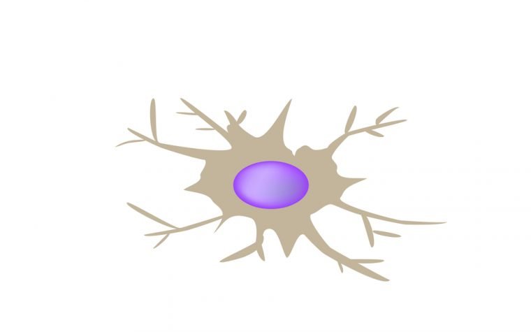 dendritic cells for lupus