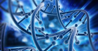 Immune system