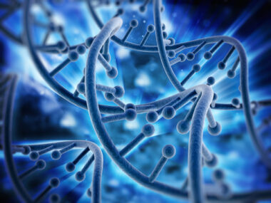 Immune system