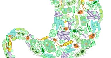 abnormal gut bacteria