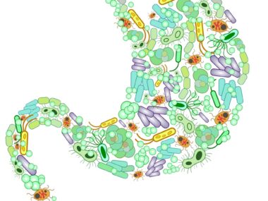 abnormal gut bacteria