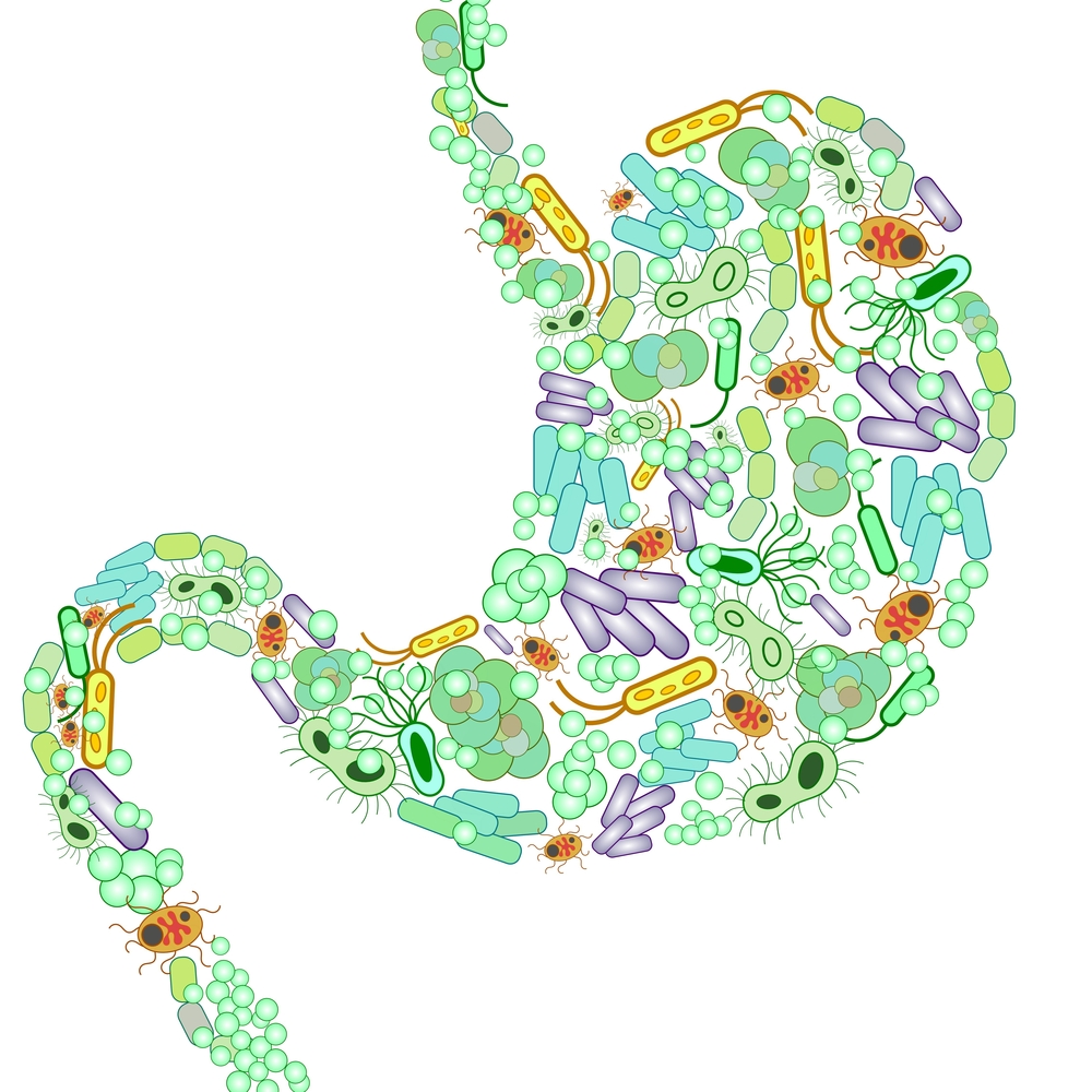 abnormal gut bacteria