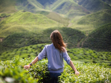 wellness and lupus