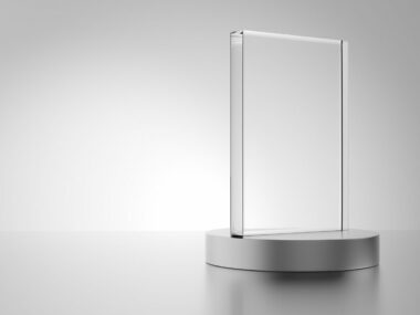 Lurie Prize