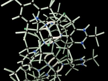 BRISC protein complex