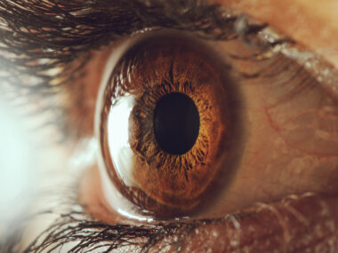 eye