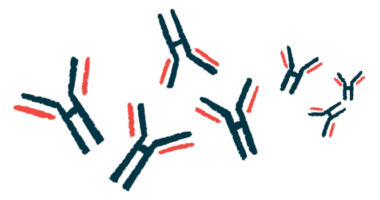 A group of human antibodies are pictured in this illustration.