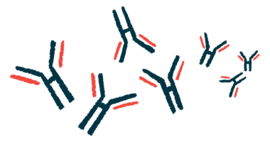 A group of human antibodies are pictured in this illustration.