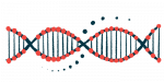 lupus risk factor | Lupus News Today | illustration of a DNA strand