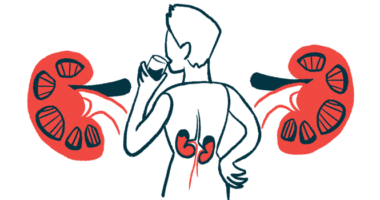 An illustration of a person's kidneys, shown from the back, of a person drinking from a glass.
