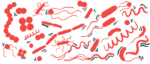 Different kinds of bacteria are shown in this illustration.