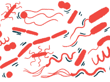 Different kinds of bacteria are shown in this illustration.