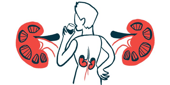 An illustration highlights the kidneys of a person seen from behind while drinking from a glass.