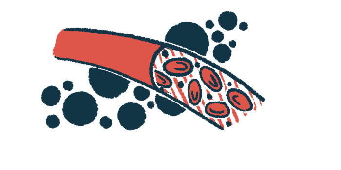 A blood vessel is shown in this illustration.
